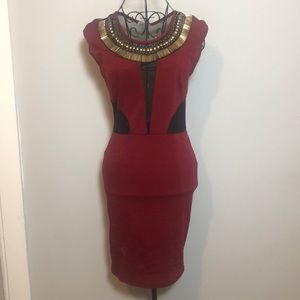 Burgundy & Black Mesh Party Dress